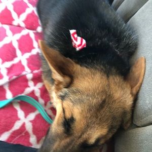 Meet your Posher, Hannah